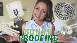 How To Bunny Proof | Tour Our 100% Bunny Proofed Apartment