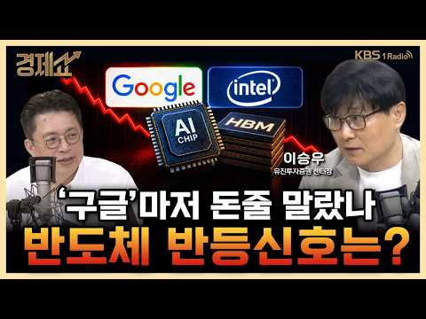 ‘키미 <strong>k3</strong>’ 부터 ‘AI’ 과잉투자 논란까지... 반도체 버틸수있을까? with. 이승우 유진투자증권 센터장｜윤지호의 경제쇼｜KBS 260724 방송