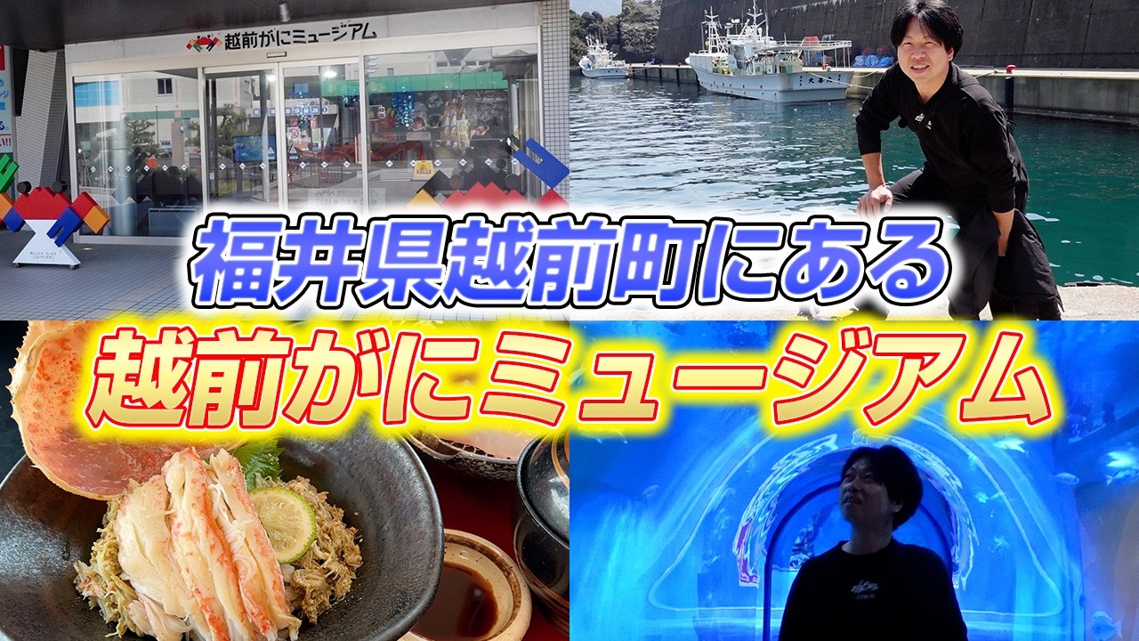 地元にある『越前がにミュージアム』と海鮮が美味しいお店が最高だった!
