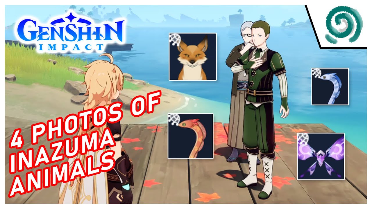 GENSHIN IMPACT Prepare 4 Photos of Inazuma Animals YouTube