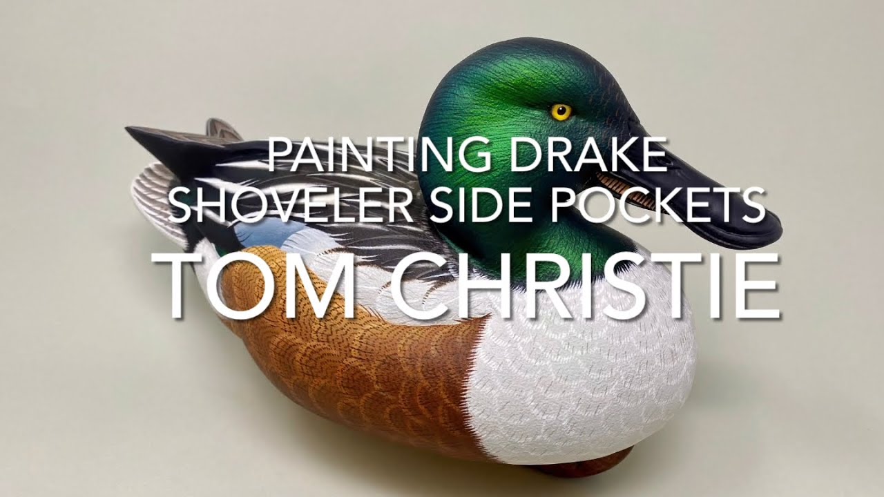 Painting Drake Shoveler Side Pockets