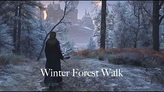 Beautiful Snowy Forest Walk to Hogwarts Castle | Hogwarts Legacy (ambience)