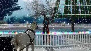 THE SNOW GLobe pt 1.wmv