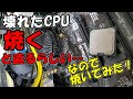 【実験】壊れたCPUを焼くと直るという噂を聞いたので、オーブンで焼いてみた!#Shorts