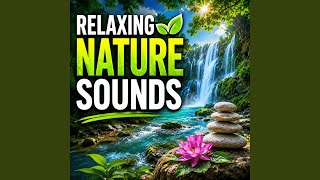Relaxing Nature Sounds For 10 Minutes