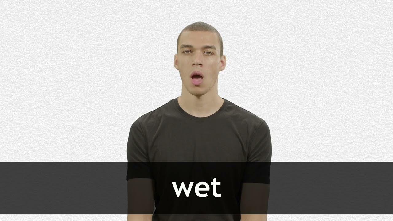 How to pronounce WET in American English