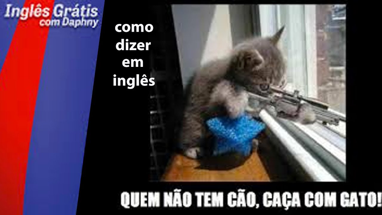 O Que Significa Quem Não Tem Cão Caça Com Gato