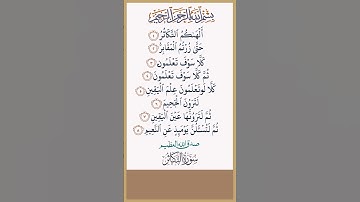 سورة التكاثر#محمد الفقيه