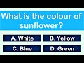 Quiz Time | Colour Quiz for Kids | Colour Test for kids | AAtoons Kids