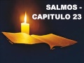 SALMOS CAPITULO 23