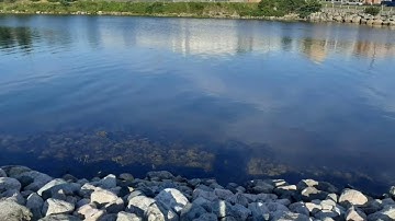 Conception Bay South, Newfoundland |CANADA|GHINIA Zane vlogs