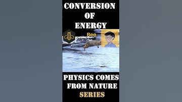 #pracbee #projectilemotion #energy Projectile motion Video Example For Students