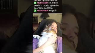 A handsome man has raided the chat! | #troubletcat on #Twitch