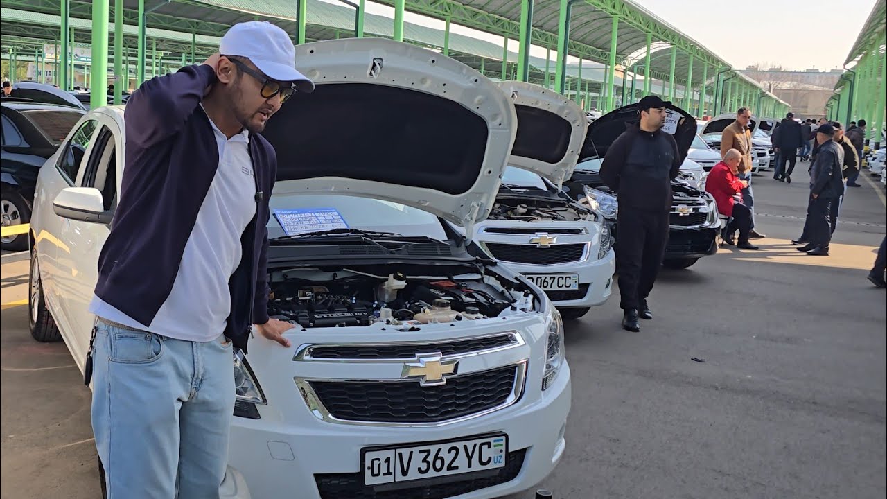 Cobalt narxlari Sergeli moshina bozori narxlari Toshkent 2026