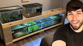 I Built a FISH TANK RACK in my ROOM! by Adam Ryan 3,030 views 1 month ago 16 minutes