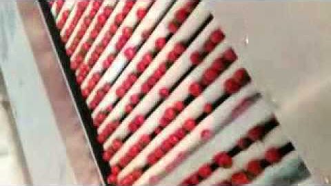 cherry tomato sorting machine, grading machine