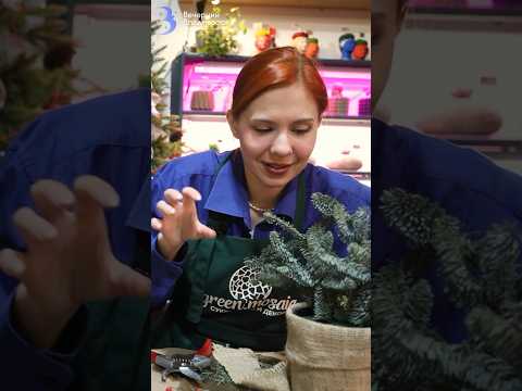 Шишки, елочки-зайчики и мотивация букета — создаем новогоднюю атмосферу своими руками 🪄