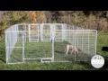 Dog Training pens and play zones for multiple dogs Dog Training pens and play zones for multiple dogs