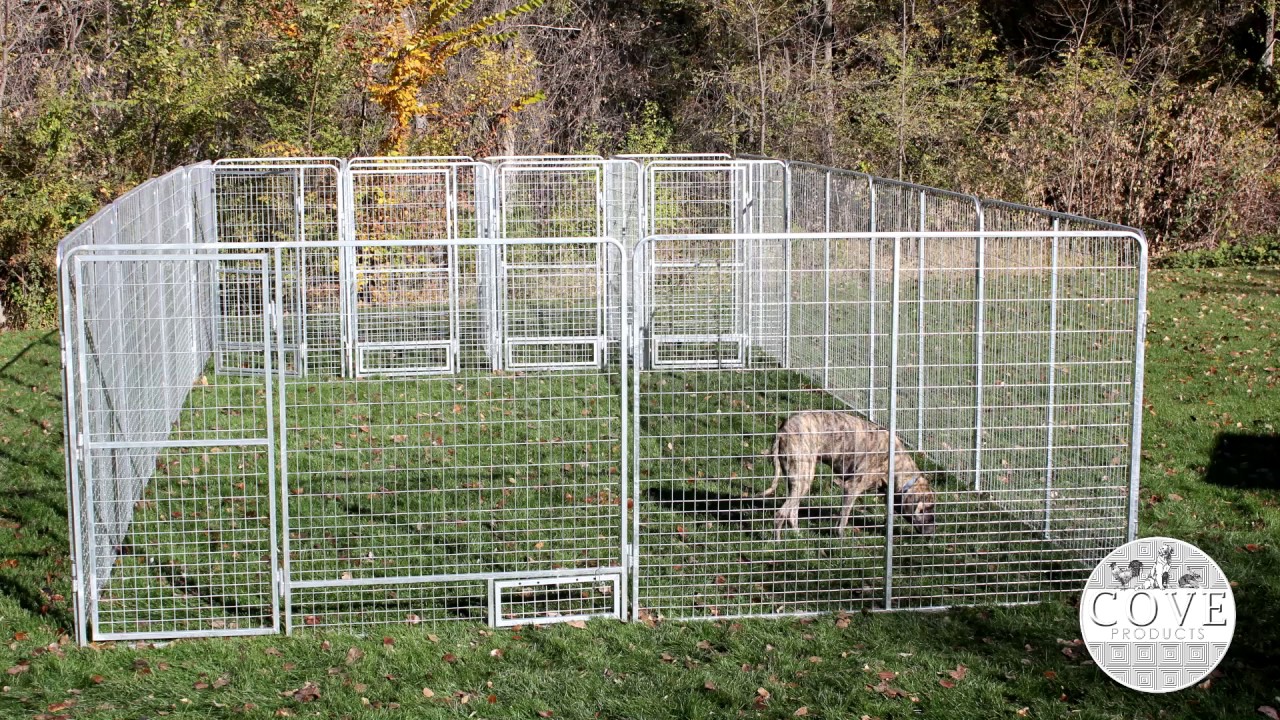 dog house for multiple dogs