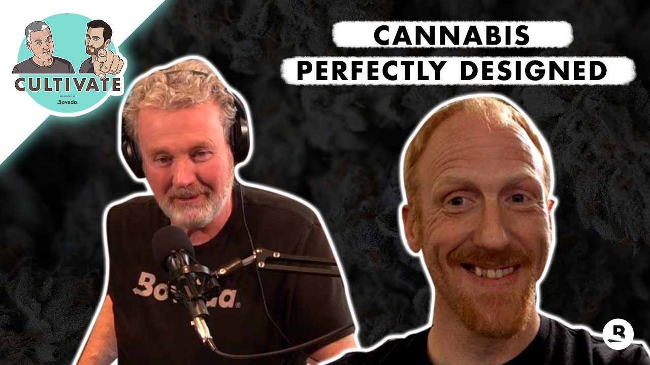 Cannabis Perfectly Designed  (Feat. Jesse Barney) | Cultivate 420