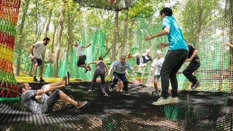 Wondernet Adventures by Treetop Trekking