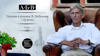 О романе «Лужин»