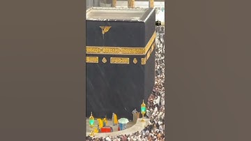 وهو الذي ينزل الغيث من بعد ما قنطوا وينشر رحمته وهو الولي الحميد #سورة_الشورى