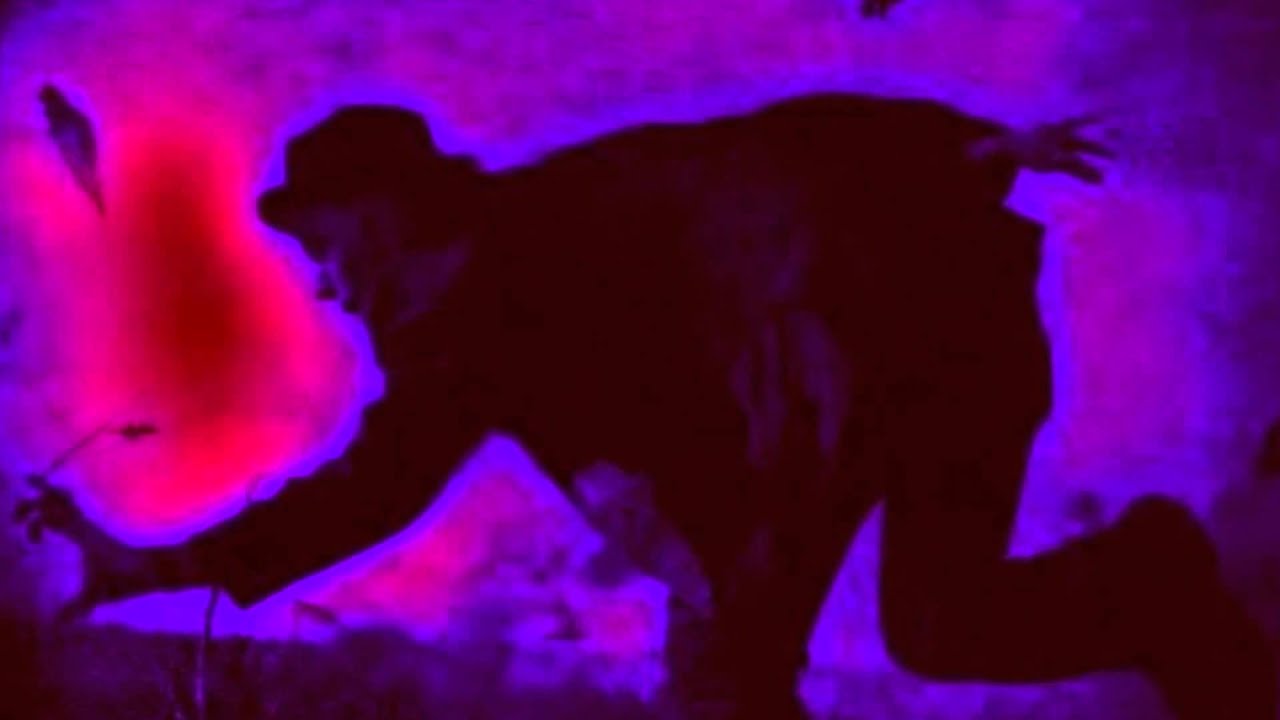 of coat youtube paint new New Coat Of YouTube Paint Tom Waits of coat youtube paint new New Coat Of YouTube Paint Tom Waits