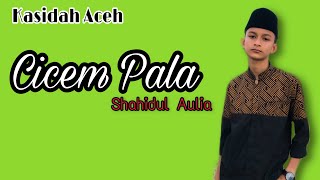 Kasidah Aceh CICEM PALA (cover) Shahidul Aulia