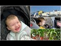 VLOG: Поездка в IKEA / Неугомонный Ваня / Мама Вика