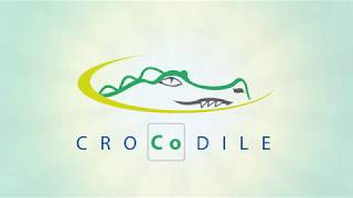 CROCODILE - Compact system for the efficient recovery of cobalt screenshot 4