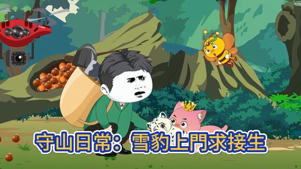 都市动画 | 《守山日常：雪豹上門求接生》身為動植物學教授的我為了收集資料，辭去工作孤身一人來到昆侖山區，成為了一個孤獨又燦爛的守山人！#糖寶動畫