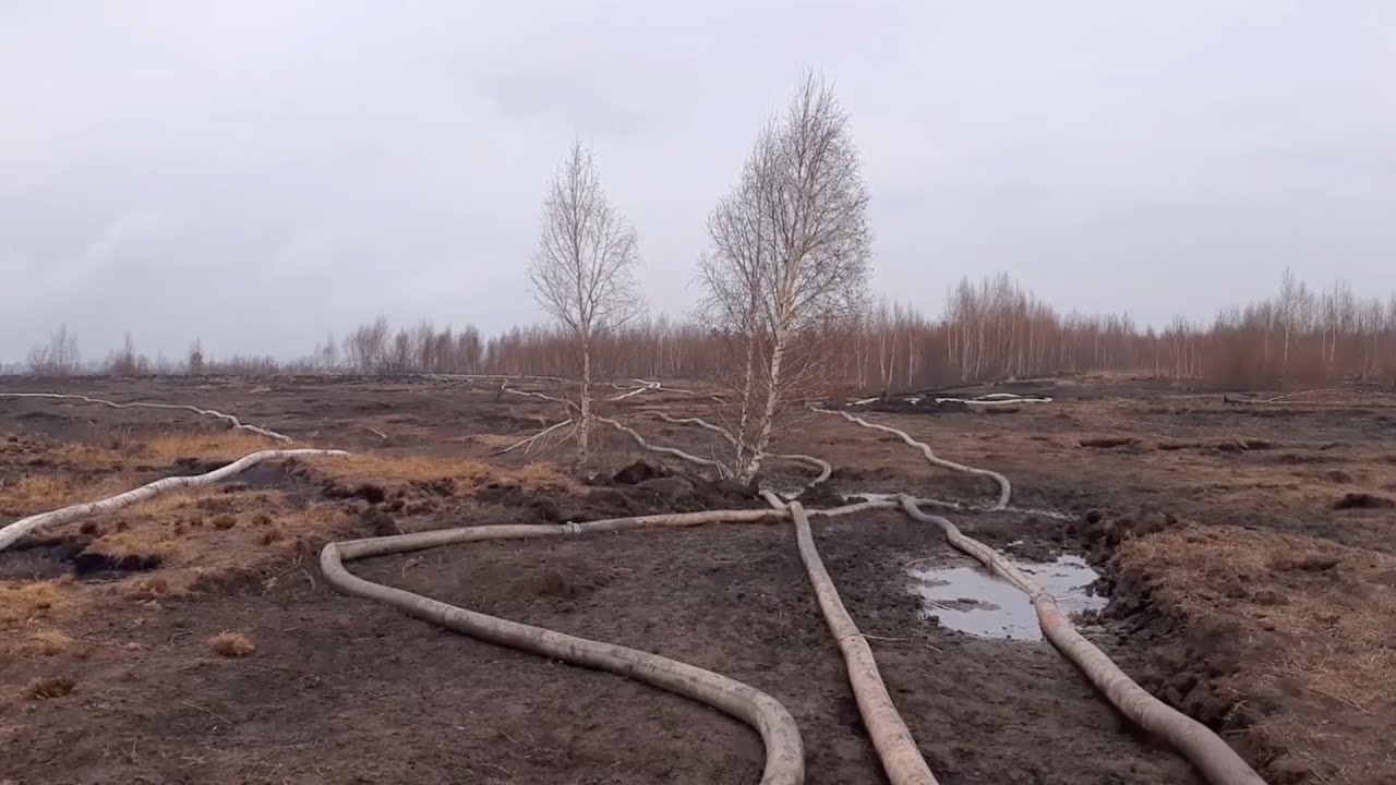 Торф за Солнечным больше не дымит