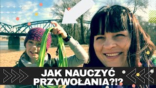 Twój pies nie wraca na wołanie? Sprawdź tych 8 rad. Przywołanie. Trener opowiada #21 i vlog.