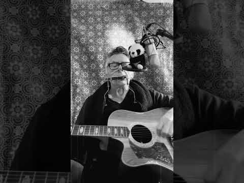 Jamesjamesmusician Music Acoustic Guitar Singersongwriter