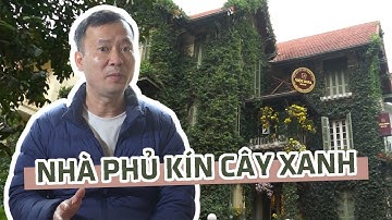 Kỳ lạ ngôi nhà được phủ kín cây xanh ngay giữa nội đô Hà Nội