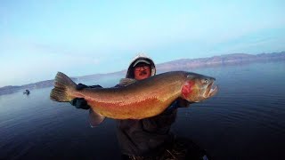 Pyramid Lake 2023 2024 Fish Reel