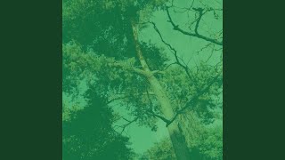 Smooth Moods for Devoted Inspiration
