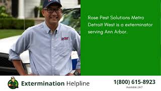 Top 3 Exterminators in Ann Arbor