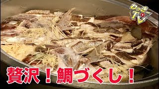 【贅沢！】鯛づくし！初めてのウツボ料理に舌鼓！【旬の味を喰らう会】