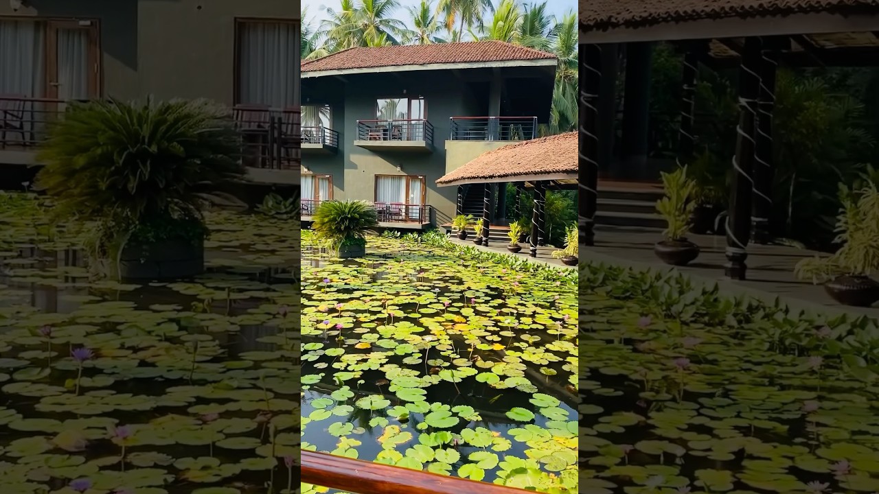 Beautiful Place To Stay | Dindi Resorts | Lotus Pond 