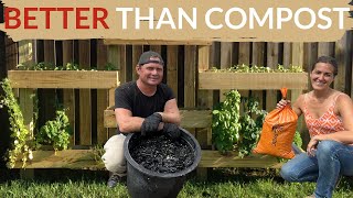 Biochar  Permanent Compost for Your Garden