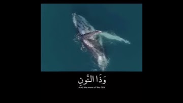سورة الأنبياء للقارئ إسلام صبحي..{ وذا النون إذ ذهب مغاضباً }