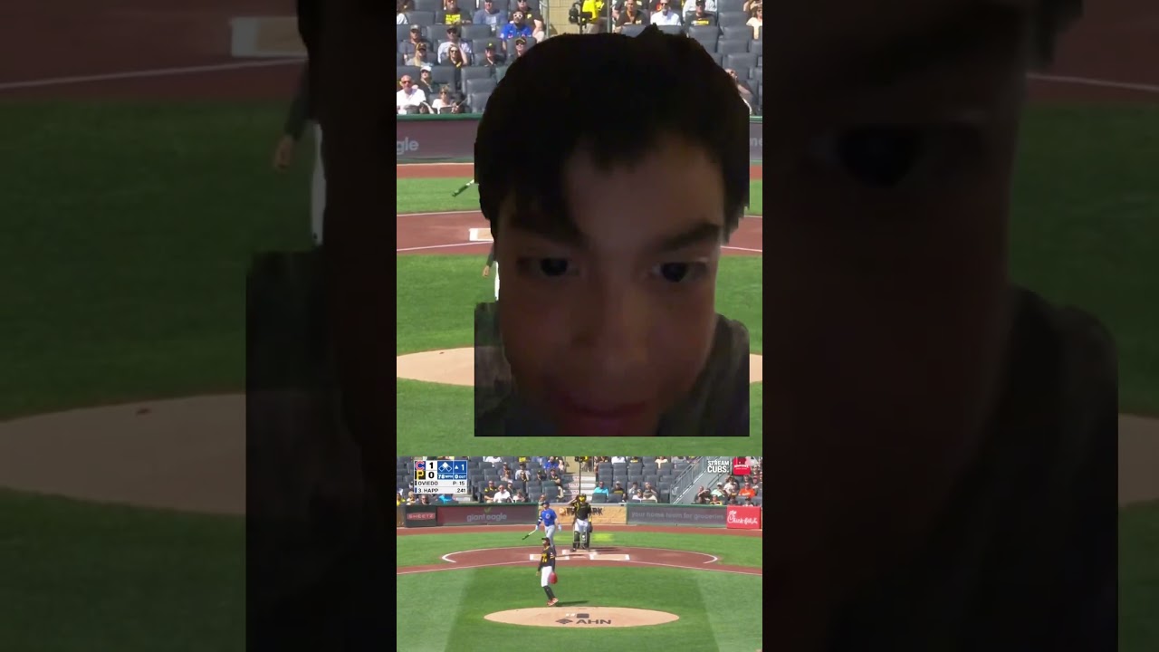 Cubs fan reacts to pirates final finale