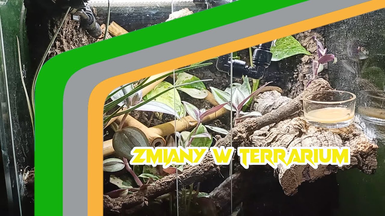 Mała Modernizacja Terrarium