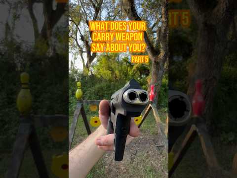 What does your carry weapon say about you? [Part 5]