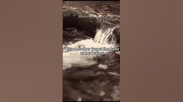 Thumbnail of You’re Not Forgotten – Isaiah 49:15