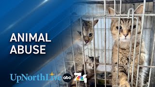 Animal abuse charges sought after 49 cats, 2 dogs rescued from home by UpNorthLive 237 views 7 days ago 32 seconds