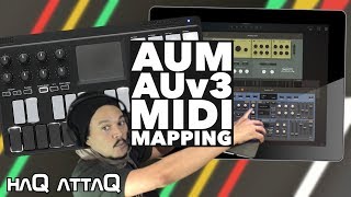 AUM AUv3 MIDI Control Mapping | haQ attaQ screenshot 5