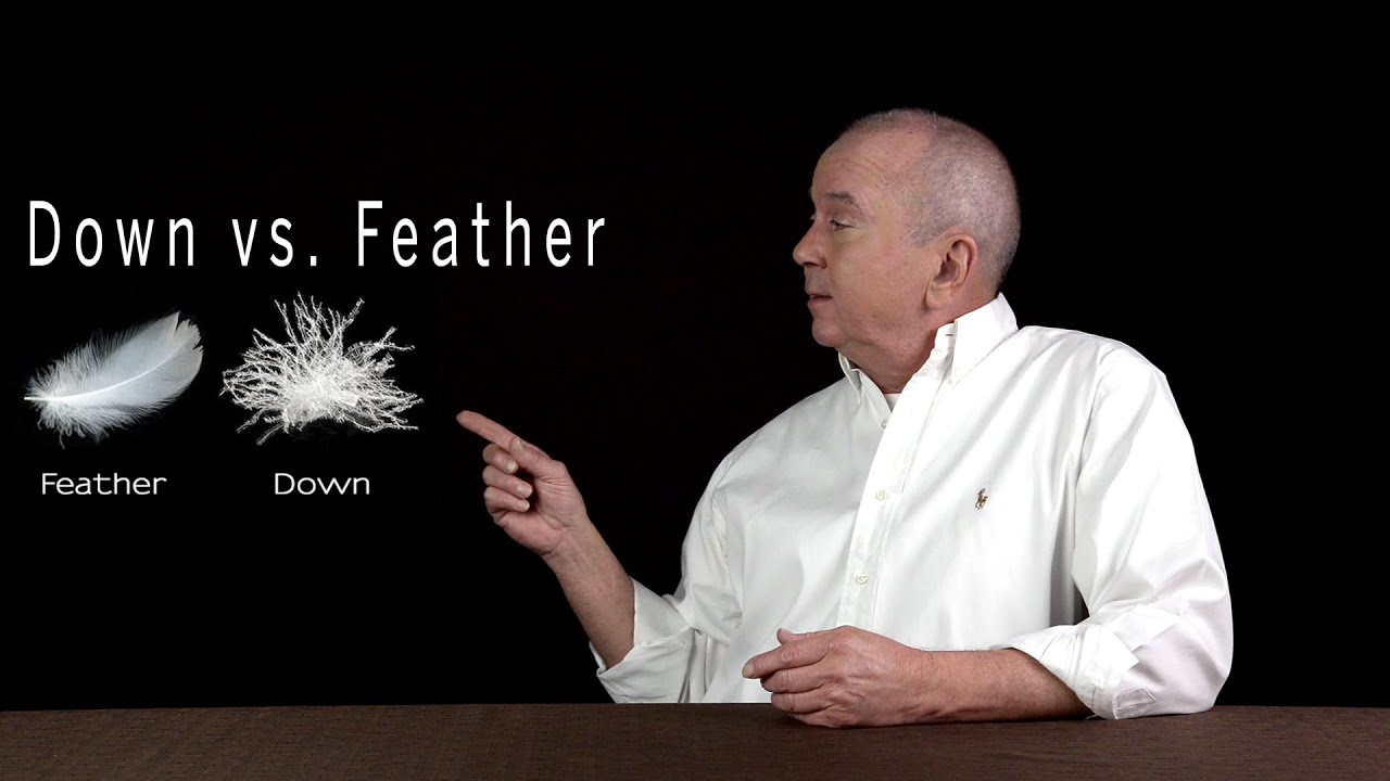 Are Goose Feathers Bad For Dogs?